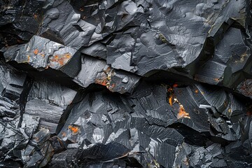 Stock photo showing the microstructure of a piece of coal revealing fossilized plant matter and mineral content