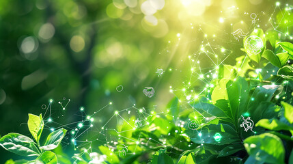 Green Energy and Flourishing Nature: Environmental Sustainability
