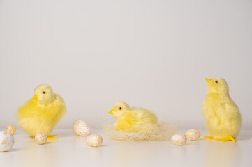 Easter greetings card with baby chicken and flowers in the background