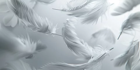 Fotobehang Nahaufnahme   Weisse Federn fliegen durch die Luft © stockmotion