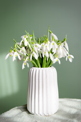 bouquet of snowdrops in a vase