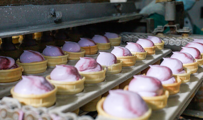 Processing line at ice cream factory.