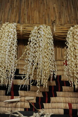 Inau or inaw a wooden ritual wood-shaving stick used by Ainu people for prayers to kamuy gods in Hokkaido, Japan and Sakhalin, Russia