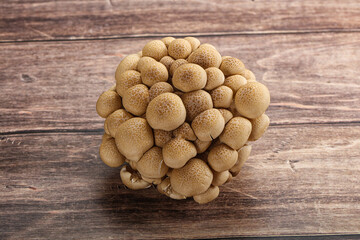 Raw asiam delicacy mushroom Shimeji