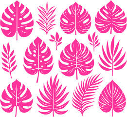 seamless pattern with feathers