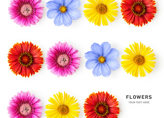 Summer flowers creative layout top view isolated on white background.