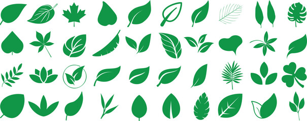 Leaf silhouettes, vector collection, diverse leaves shapes, nature elements. Ideal for eco friendly brand aesthetics, botanical illustrations, educational materials, artistic designs, decorations.