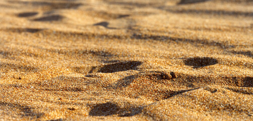 Sand on beach in sun summer day - 746343716