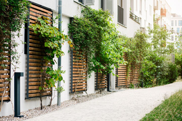 Climbing Plants Ivy and Grapes Covered Building  Wall on Wood Frame. Modern Eco-friendly Building...