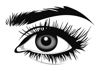 Beautiful female eye with big lashes and eyebrows. Eyeliner glamour makeup. Icon