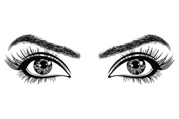 Fototapeta premium Beautiful female eyes with big lashes and eyebrows. Eyeliner glamour makeup.