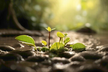 little tiny plants with little drop of water on the tiny leaves with mud and lush green color with mud in background  of the leaves abstract background 
