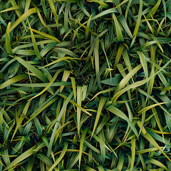 seamless grass texture