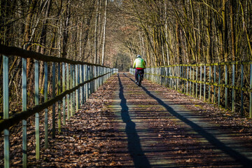 Ścieżka rowerowa w lesie, Żelazny Szlak Rowerowy w Polsce na Śląsku zimą.