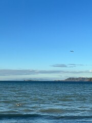 beach and sea landscape