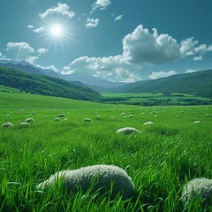 Cercles muraux Vert Serene Pastoral Landscape with Bright Sun