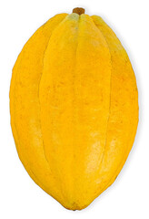 forastero cocoa fruits isolated on white background