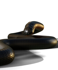 3d rendering object shape for poster