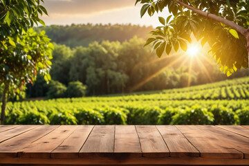 Empty wooden table in a coffee tree farm with a sunny, blur garden background with a country outdoor theme. Template mockup for the display of the product - Sunset