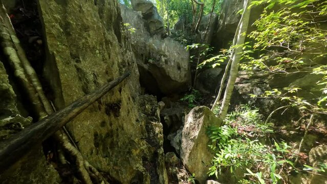 Hiking in touristic trek Petit Tsingy de Bemaraha, Strict Nature Reserve located near the western coast of Madagascar. UNESCO World Heritage with unique geography. Madagascar wilderness landscape