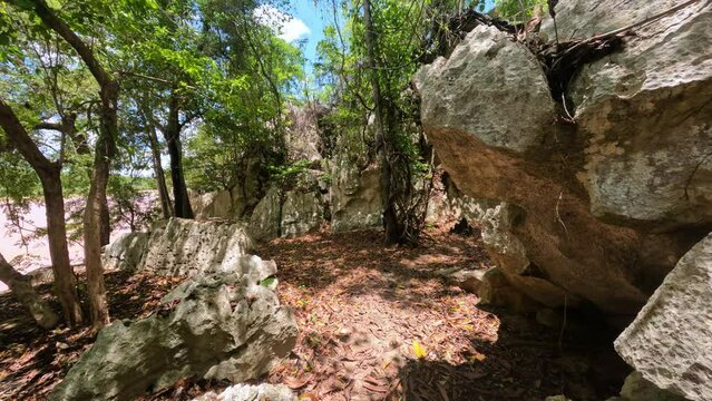 Hiking in touristic trek Petit Tsingy de Bemaraha, Strict Nature Reserve located near the western coast of Madagascar. UNESCO World Heritage with unique geography. Madagascar wilderness landscape