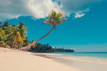 Paradise beach in the caribbean