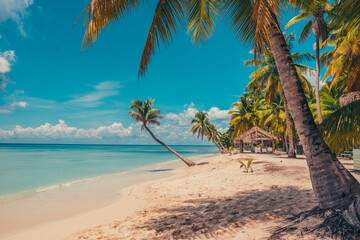 Paradise beach in the caribbean
