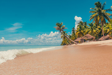 Obraz premium Paradise beach in the caribbean