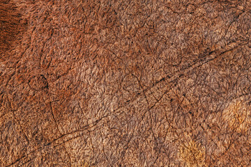 Aerial shot of dry meadow grass, top view