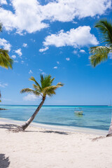 Paradise beach in the caribbean with wood house in the tropical world in dominican republic