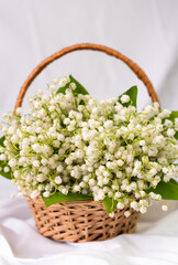 Basket with lilies of the valley on a white background. Selective focus.
