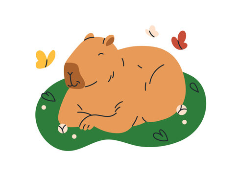 Cute funny capybara sleeping in nature. Happy capy asleep. Sweet lazy capibara animal relaxing, resting in peace, chilling, lying on grass. Flat vector illustration isolated on white background