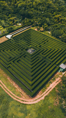 nature labyrinth in the middle of the street