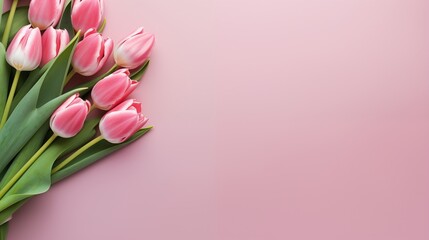 Top view of tulips lying on empty background