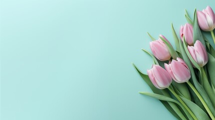Top view of tulips lying on empty background - obrazy, fototapety, plakaty