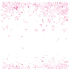 桜　舞う　花散る　奥行き背景　バック素材