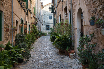 Fototapeta na wymiar the most famous street in Valldemossa