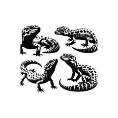 black and white dragon