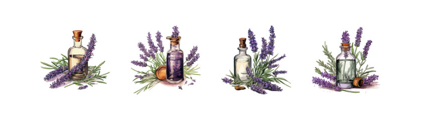 Bottle of essential oil with fresh lavender set watercolor. Vector illustration design. - obrazy, fototapety, plakaty