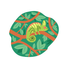 Patterned chameleon vector illustration