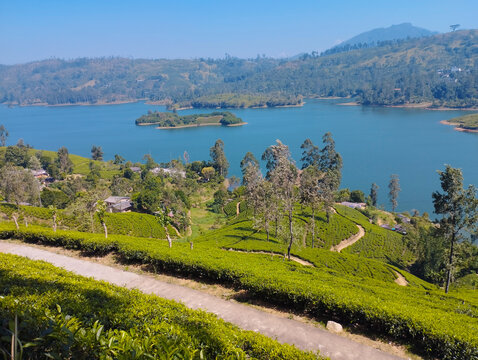 Castlereigh Reservoir is a beautiful lake surrounded by lush green peaks hidden in a valley in the Hatton area of the Nuwara Eliya District in the Central Province sri lanka.