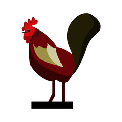 Rooster vector illustration. Rooster isolated on white background.