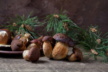 Imleria Badia or Boletus badius mushrooms commonly known as the bay bolete and clay plate with mushrooms on vintage wooden background..