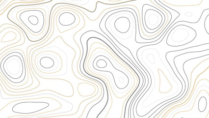 Map background with topographic contours and features. Topographic contour map. cartography illustration. 