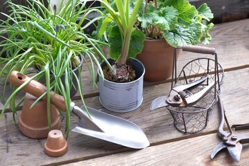 garden tools with a little shovel on a wooden table among  flowerpot and plant