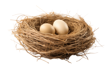 Three Eggs Nest. The eggs are white and smooth, resting comfortably in the nest. on a White or Clear Surface PNG Transparent Background.