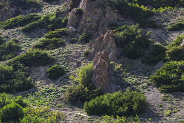 Obraz premium mountain stones among the bushes in the valley in summer in nature
