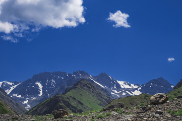 Fototapeta na wymiar Tien Shan Mountains in the Koksai Gorge in the Aksu-Zhabagly Nature Reserve in Asia in Kazakhstan in summer under a blue sky