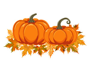 Two autumn orange pumpkins stand on autumn leaves.  Vector illustration.
