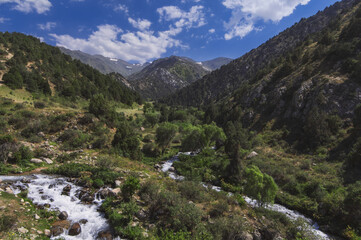 Fototapeta na wymiar field with mountain rivers in the Tien Shan mountains in Kazakhstan in summer. Kaskasu Gorge